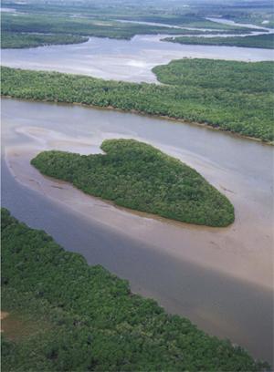 தூய நட்பும் துளி காதலும்