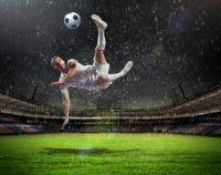 விடா முயற்சி வெற்றி தரும்