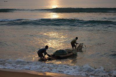 என்னோடு உடன் பிறவா தமிழன் - போட்டி கவிதை