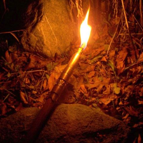 மனித மனங்கள்