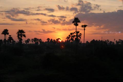 ஏமாப்பு