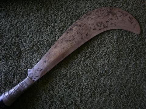 பிறந்ததும் இறந்தேன்