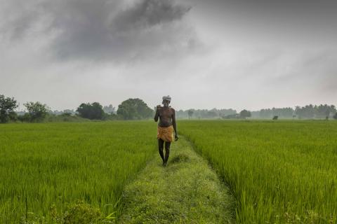 யாம் புரிவதும் பணியே - ராம்வசந்த்