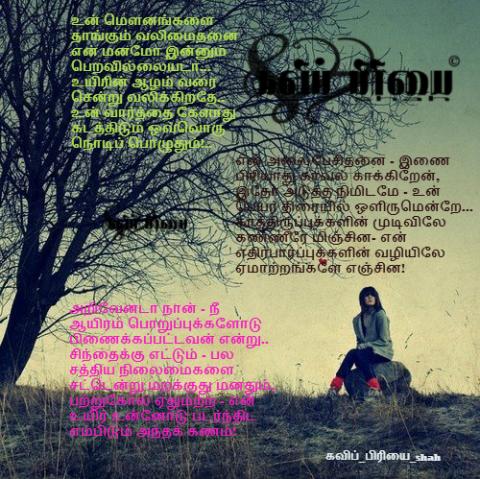 பற்றுகோலற்ற மனம் உன்னிடமே