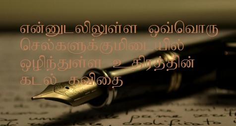 கவிதை -முஹம்மத் ஸர்பான்