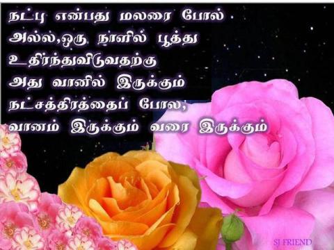 நண்பர்கள் தினம் 2015