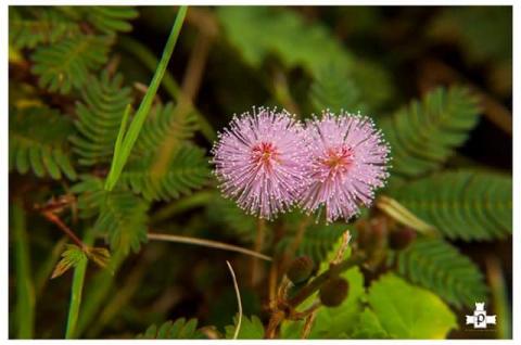 காதல் பூமி
