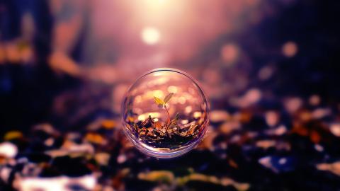 உலக சுதந்திரம்