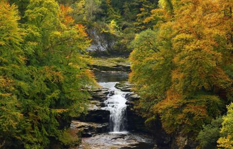 ஆறாம் அறிவுக்கு அப்பால்