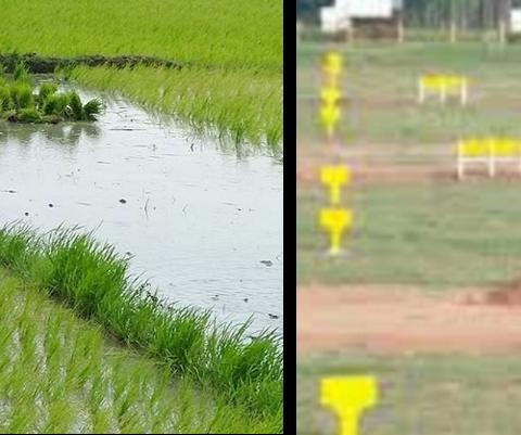 மீண்டும் மீண்டும் - விலைநிலம்