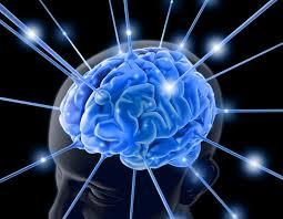 வின் ஞானம் - போட்டிக்கவிதை