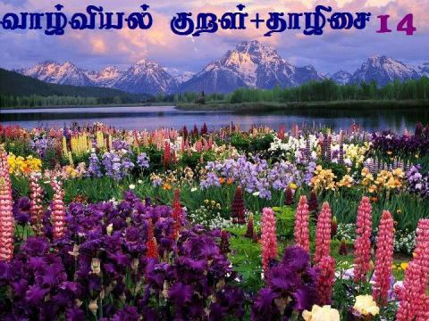 வாழ்வியற்  குறட்டாழிசை   - 14    கேட்டறிதல்