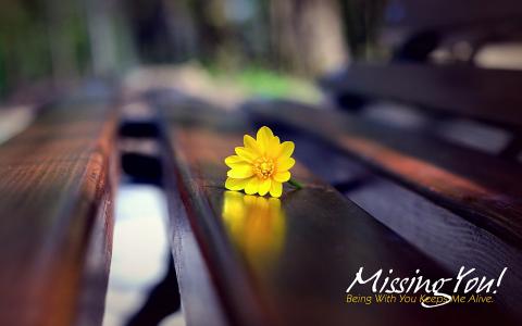 சொல்ல மறந்த காதல்