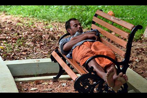 உறக்கம்   -   தூக்கம்