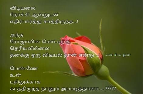 என்னவளதிகாரம்--காத்திருந்த ரோஜா