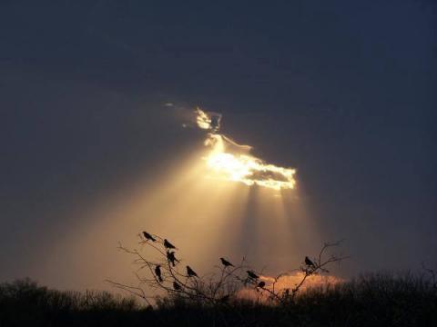 வின் ஞானம்