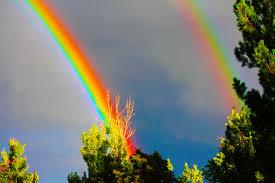 வானவில்