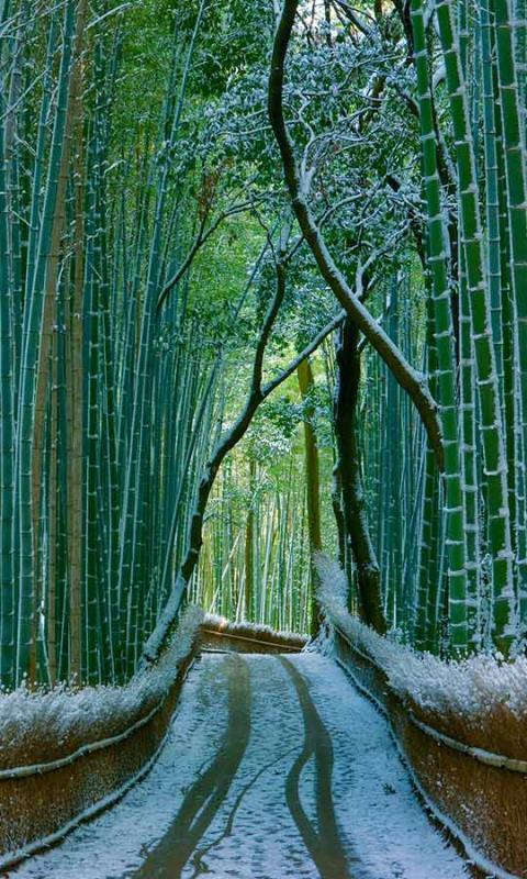 காட்சிப் பிழைகளோடு  ரசனை உலா - சந்தோஷ்