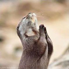 வேறு நிலாக்கள் 22