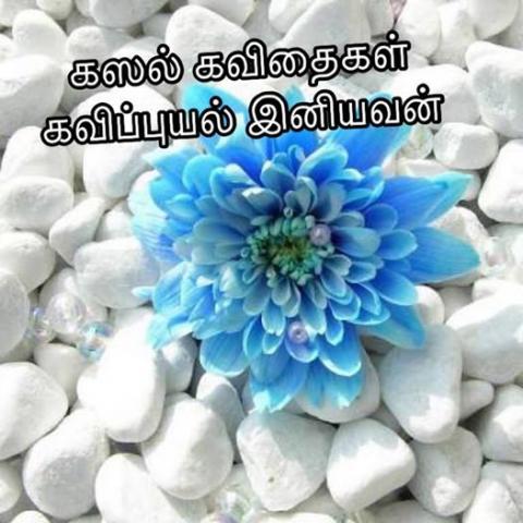 மறந்துபோய் நினைத்துவிட்டேன் 