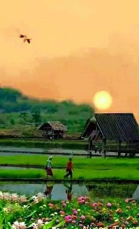 அற்புத இயற்கையின் இருக்கை