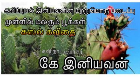 கண்ணீர் கவிதையாக 