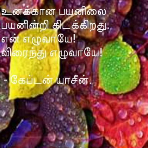 இலக்கியக் காதல்
