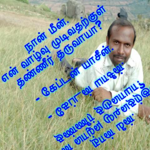 நீர்க் காதல்