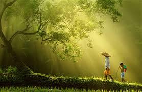 யாத்திரை