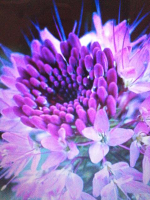 பெயரென்ன?