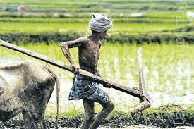 உழைப்பே உன்னதம்         கவிஞர் இரா இரவி  உழைப்பே உன்னதம்         கவிஞர் இரா இரவி