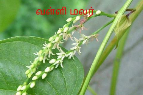 பணம்