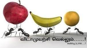 முயற்சி