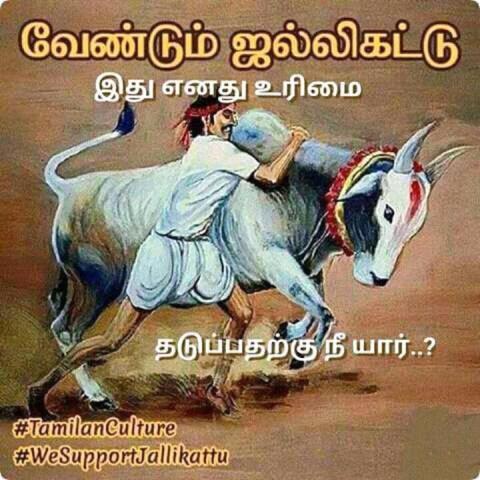 jallikattu kavithai in tamil