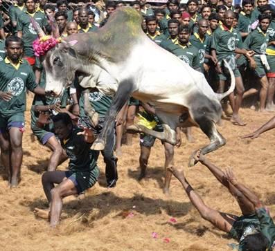 வீர தமிழா