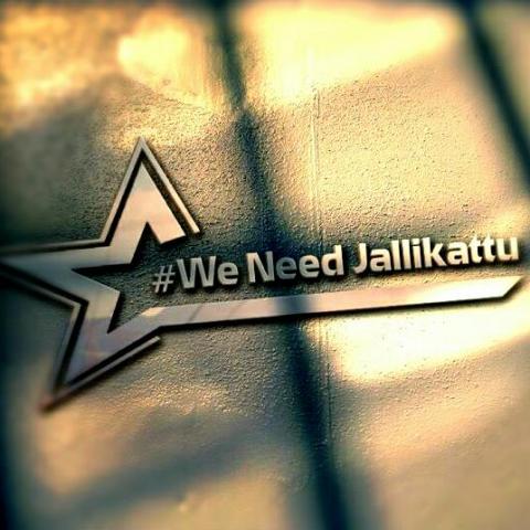 Jallikattu