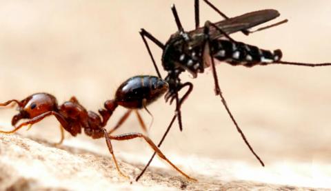 முதலிரவு கட்