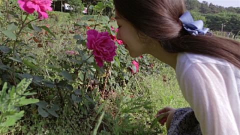 மலர்ச் செடியும் ஓர் மலர்க்கொடியும்