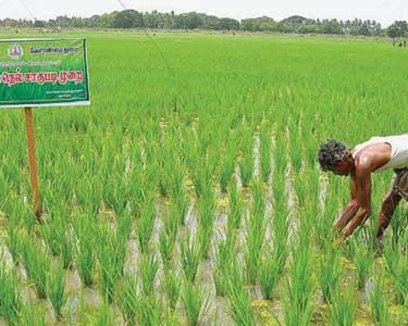 இருப்பவர்களாகிய நாம் இல்லை பற்றி சிந்திப்போமா