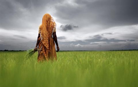 மழை பொழியாயோ மழைமேகமே