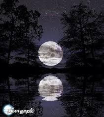 ஹைக்கூ    கவிஞர் இரா  இரவி 