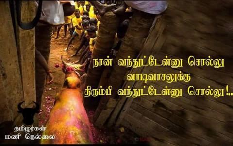 மாட்டுப் பொங்கல் வாழ்த்துக்கள்