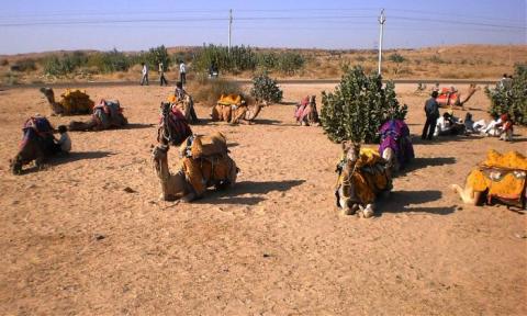 எதிர் காலம் ,