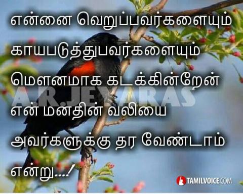 இன்றுவரை தொடரும்