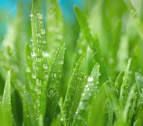 வலிகளைச் சொல்வாயா