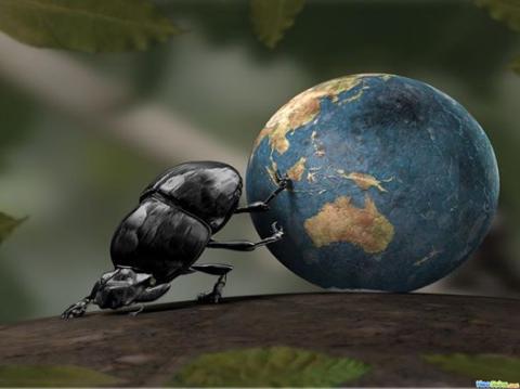 வாழ்வதிகாரம் ---முஹம்மத் ஸர்பான்