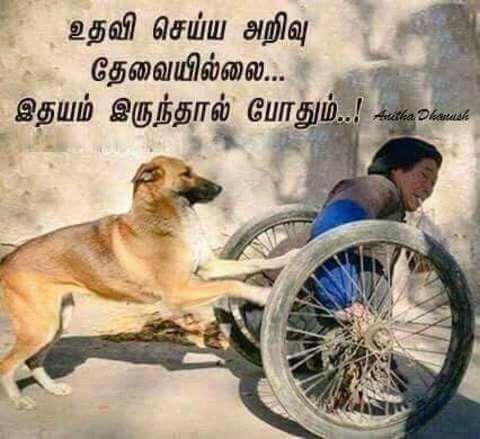 படம் உதவி பாவலர் புதுவைத் தமிழ்நெஞ்சன்    படத்திற்கு ஹைக்கூ  கவிஞர் இரா இரவி  படம் உதவி பாவலர் புதுவைத் தமிழ்நெஞ்சன்    படத்திற்கு ஹைக்கூ  கவிஞர் இரா இரவி