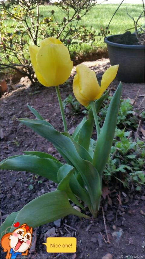 வேண்டும் அன்பு காதலன்