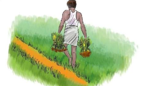 உழவன் எனும் நண்பன்