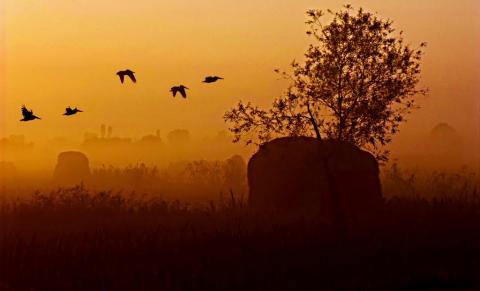 சாவின் ஒத்திகை காலைப் பொழுது சாவின் ஒத்திகை காலைப் பொழுது